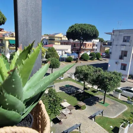 Panorama Apartment